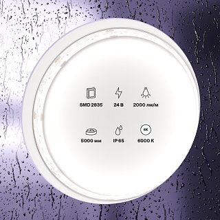 Светодиодная лента 24В 2835 20Вт/м 6000K 5м IP65