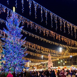 Светодиодная гирлянда ARD-EDGE-CLASSIC-2400x600-BLACK-88LED-FLASH WARM (230V, 6W) (Ardecoled, IP65)