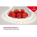 Буклет FITOLUX. 2022 (Arlight, -)