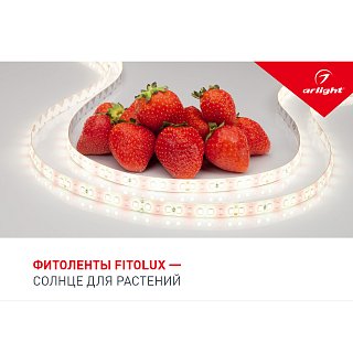 Буклет FITOLUX. 2022 (Arlight, -)