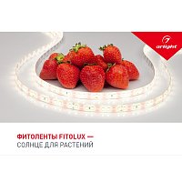 Буклет FITOLUX. 2022 (Arlight, -)