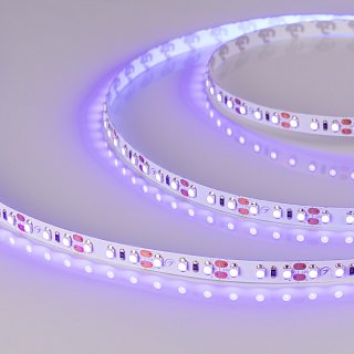 Светодиодная лента RT-A120-8mm 12V UV400 (9.6 W/m, IP20, 2835, 5m) (Arlight, Открытый)