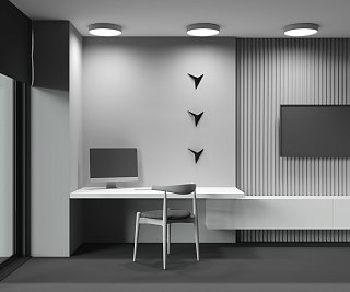 Потолочный светильник Zon 2700K 45Вт 120°