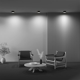 Потолочный светильник Zon 4000K 12W 120°