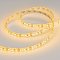 Светодиодная лента RTW 2-5000SE 12V Yellow 2x (3528, 600 LED, LUX) (Arlight, 9.6 Вт/м, IP65)