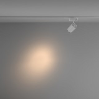 Трековый светильник Technical TR029-3-10W3K-S-W