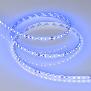 Светодиодная лента RT-A120-8mm 24V Blue (9.6 W/m, IP20, 2835, 5m) (Arlight, 9.6 Вт/м, IP20)