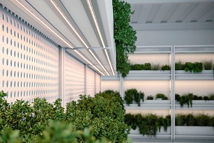 Фитоосвещение в теплице