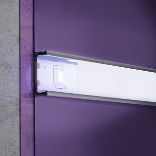 Светодиодная лента 12В 2835 4,8Вт/м 6000K 5м IP20