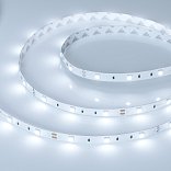Светодиодная лента RT 2-5000 12V White6000 (5060, 150 LED, LUX) (Arlight, 7.2 Вт/м, IP20)