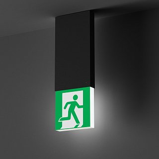 Световой указатель EMG-MARK-L-3H-BK (Arlight, IP40 Металл, 5 лет)