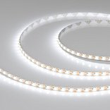 Светодиодная лента FC-A120-5mm 24V Сool8K-CX1 (10 W/m, IP20, 5m) (Arlight, резка 1 светодиод)