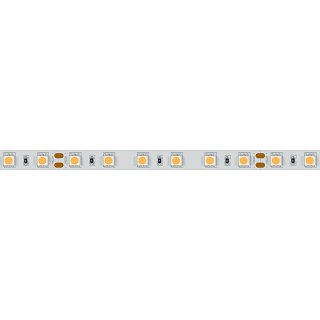 Светодиодная лента RT 2-5000 24V White6000 2x (5060, 300 LED, LUX) (Arlight, 14.4 Вт/м, IP20)