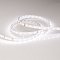 Светодиодная лента IC 2-30000 24V Day4000 10mm (2835, 60 LED/m, LUX) (Arlight, 4.6 Вт/м, IP20)