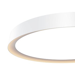 Потолочный светильник Incognito 2700-4000K 46Вт