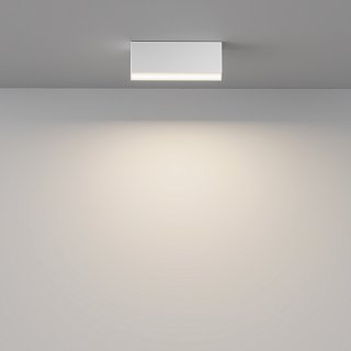 Потолочный светильник Basis 3000K-6000K 12Вт 120° IP 20