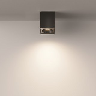 Потолочный светильник Zoom GU10 1x10Вт IP 54