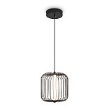 Подвесной светильник Freya FR6131PL-L13B