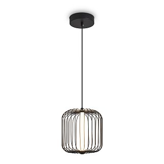 Подвесной светильник Freya FR6131PL-L13B