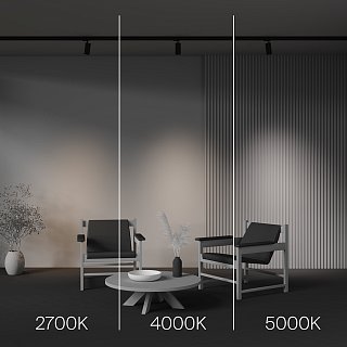 Трековый светильник Focus Led Trinity 2700-5000K 12Вт 36°