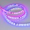 Светодиодная лента герметичная SPI-SE-B60-10mm 24V RGB-PX6-BPT (12 W/m, IP65, 5060, 5m) (Arlight, бегущий огонь)