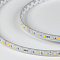 Светодиодная лента 5050, 60 LED/м, 14,4 Вт/м, 24В , IP68, Цвет: Теплый белый, SWG560-24-14.4-WW-68-M