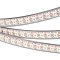 Светодиодная лента SPI-5000P-RAM-5060-100 12V Cx1 RGB-Auto (12mm, 14.4W/m, IP66)) (Arlight, Закрытый, IP66)