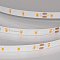 Светодиодная лента RT-A60-8mm 24V Carrot (4.8 W/m, IP20, 5m) (Arlight, -)