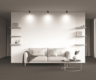 Потолочный светильник Hoop GX53 12Вт