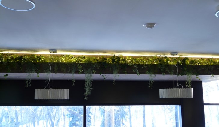 Освещение растений светодиодной лентой Arlight