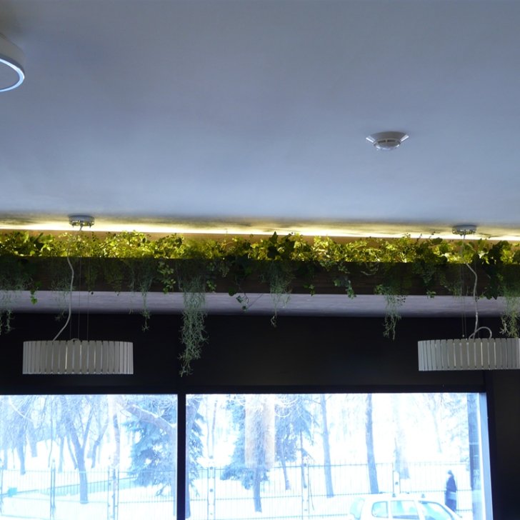 Освещение растений светодиодной лентой Arlight