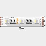 Светодиодная лента 5050, 60 LED/м, 19,2 Вт/м, 12В , IP20, Цвет: RGB + холодный белый, SWG560-12-19.2-RGB+W-M