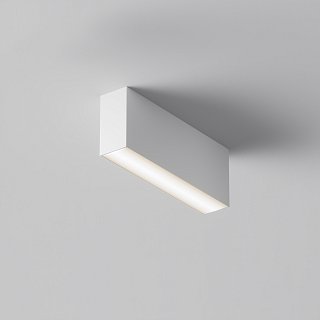 Потолочный светильник Basis 3000K-6000K 12Вт 120° IP 20