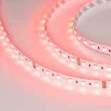 Светодиодная лента RT-B60-12mm 24V RGBW-Warm-4-in-1 (19.2 W/m, IP20, 5060, 5m) (Arlight, Открытый)