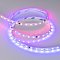 Светодиодная лента SPI-B60-10mm 24V RGB-PX6-BPT (12 W/m, IP20, 5060, 5m) (Arlight, бегущий огонь)