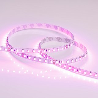 Светодиодная лента RT 2-5000 24V Pink 2x (3528, 600 LED, LUX) (Arlight, 9.6 Вт/м, IP20)