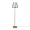 Напольный светильник (торшер) Freya FR1006FL-01G