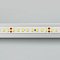 Светодиодная лента RT 2-5000 24V Day5000 2x (2835, 160 LED/m, LUX) (Arlight, 12 Вт/м, IP20)