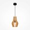 Подвесной светильник Roots E27х1