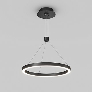 Светильник SP-CONGO-CAN-1-R400-24W Day4000 (BK, 120 deg, 230V) (Arlight, IP20 Металл, 5 лет)