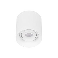 Светильник SP-ACENTO-R95-10W Day4000 (WH, 20-45 deg, 230V) (Arlight, IP20 Металл, 5 лет)