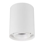 Светильник SP-FOCUS-R132-24W Day4000 (WH, 15 deg, 230V) (Arlight, IP54 Металл, 5 лет)