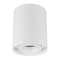 Светильник SP-FOCUS-R132-24W Day4000 (WH, 15 deg, 230V) (Arlight, IP54 Металл, 5 лет)