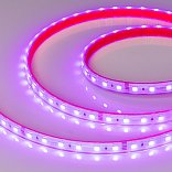Светодиодная лента герметичная RTW-PS-B60-12mm 24V RGB (14.4 W/m, IP67, 5060, 5m) (Arlight, 14.4 Вт/м, IP67)