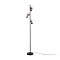Напольный светильник (торшер) Freya FR5372FL-03B