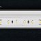 Светодиодная лента MICROLED-5000L 24V White6000 8mm (2216, 120 LED/m, LUX) (Arlight, 6.5 Вт/м, IP20)