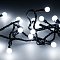 Светодиодная гирлянда ARD-BALL-CLASSIC-D13-5000-BLACK-50LED WHITE (230V, 3.5W) (Ardecoled, IP65)