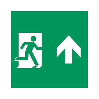 Пиктограмма EMGP-MARK-MA-UP (Человек, Вверх) (Arlight, Пластик)