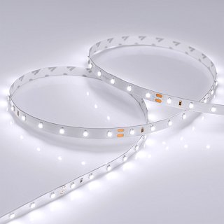 Светодиодная лента RT 2-5000 24V White6000 (3528, 300 LED, LUX) (Arlight, 4.8 Вт/м, IP20)