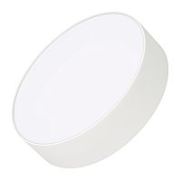 Светильник IM-RONDO-EMERGENCY-3H-R210-20W Day4000 (WH, 120 deg, 230V) (Arlight, IP40 Металл, 2 года)